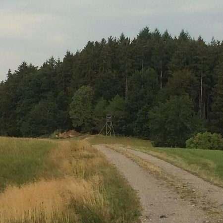 Hotel Pension Silberdistel Ühlingen-Birkendorf Zewnętrze zdjęcie